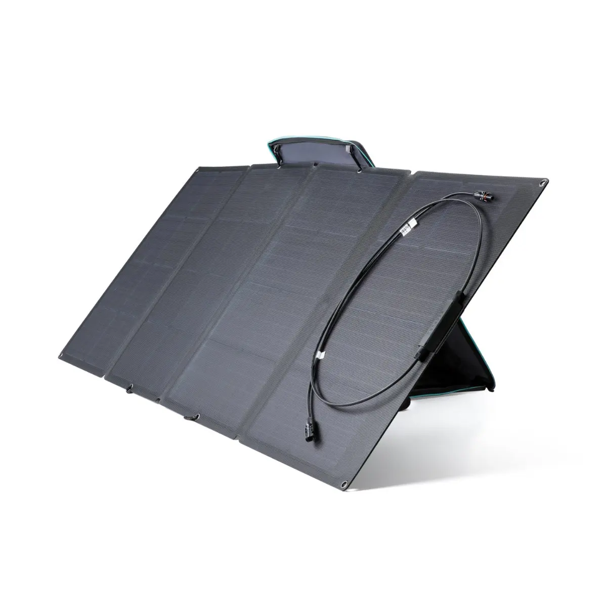 Ecoflow 160W 20V Pannello Solare Pieghevole Ricarica Delta Pro / Delta Max Centrale Elettrica Portatile Potenza All'Aperto