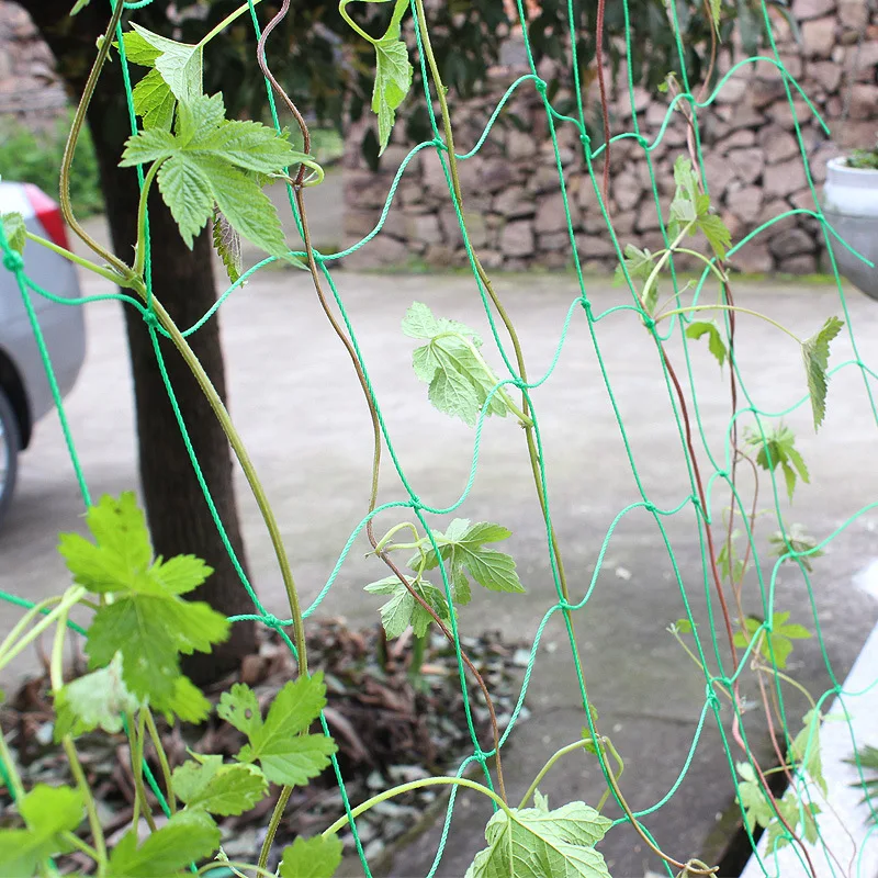 1.8 /2.7/3/3.6M Pertool Planting Net Household Outdoor Courtyard Luffa Passion Fruit Plant Climbing Frame Rete Da Giardinaggio