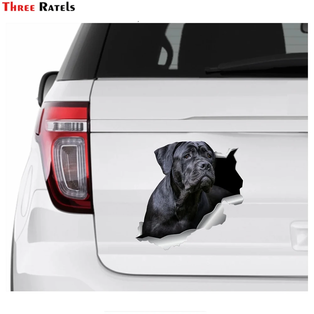Tre Ratels I546 Cane Corso Auto Cane Cane Cane Corso Adesivo Cane Nero Animali Decor Auto Cane Decalcomania Nera Materiale Vinilico Acqua