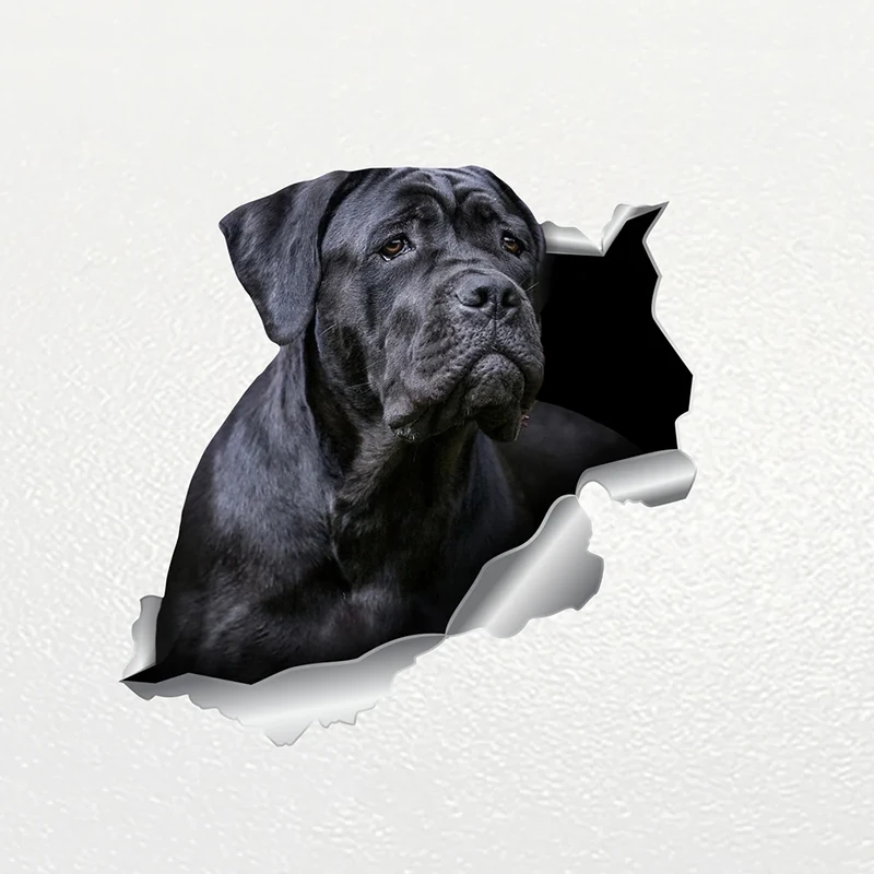 Adesivo Per Auto Personalizzabile Con Design Cane Cane Cane Cane Cane