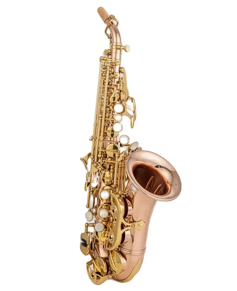 Nuovo Sassofono Professionale Yanagisawa Sc Wo20 Bb Soprano Bronzo Fosforoso Rame Oro Chiave Sax Di Alta Qualità Con Accessori
