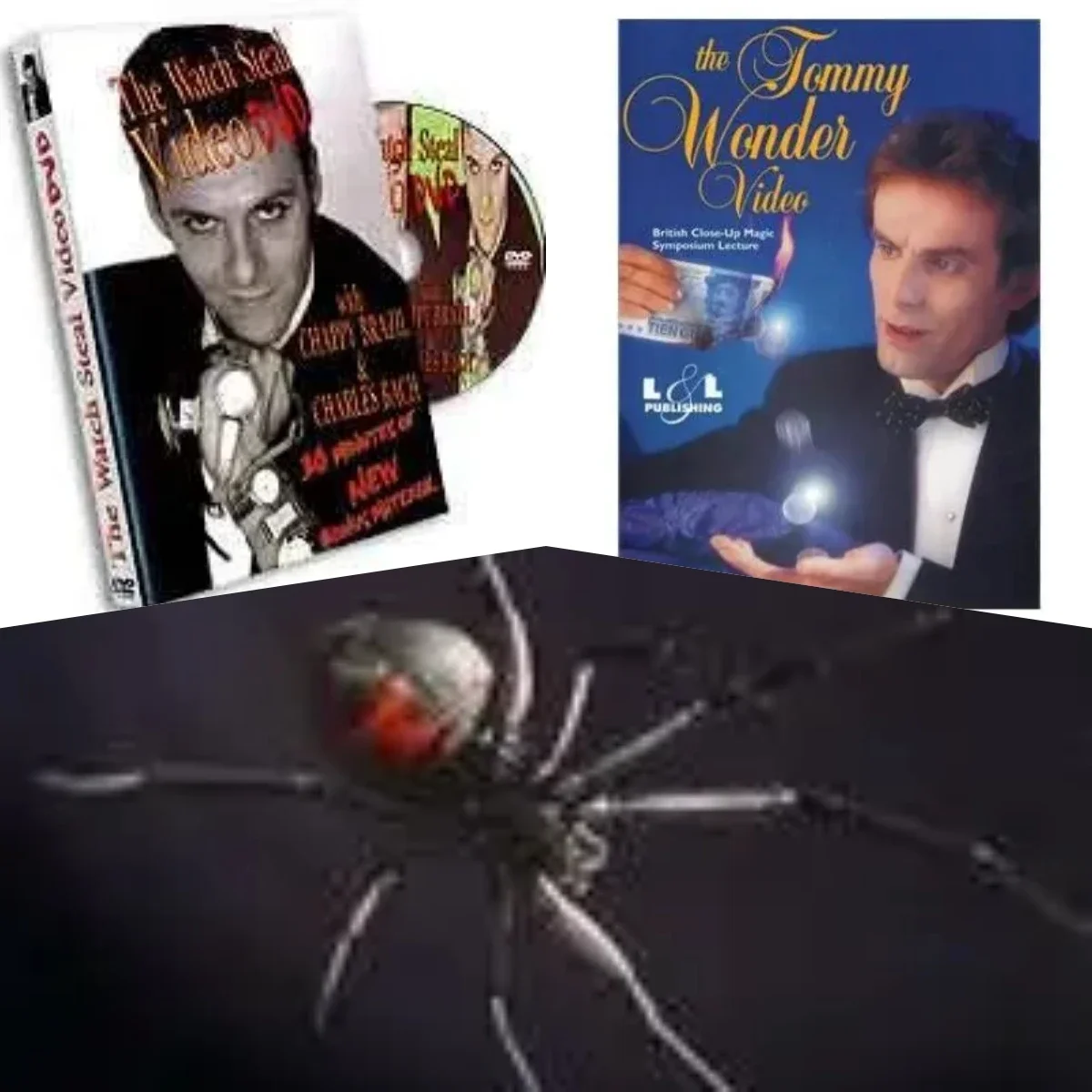 L'Orologio Ruba Di Chappy Brazil,Tommy Wonder At British Close-Up Magic Concert, Yifryl Vanamburg - Black Widow-Trucchi Magici