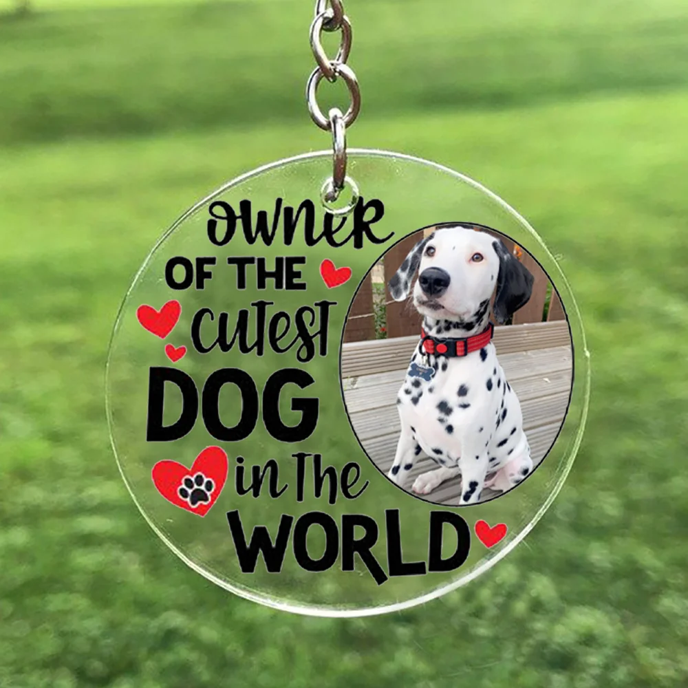 Personalizzato Personalizzato Nome Del Cane Pet Memorial Ornament Gift Souvenir Album Regalo Di Compleanno Foto Personalizzata Pet Cat Lovers