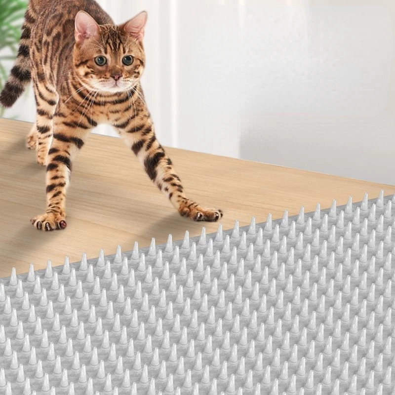 3/1Pc Cat Thorn Mat Dog Garden Anti-Cat Dog Forniture Per Esterni Feci Anti-Cat Thorn Mat Protegge Le Piante Repellente Per Uccelli Spikes Fence