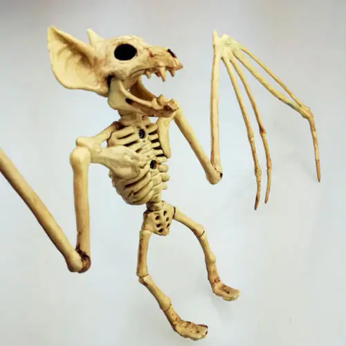 Horror Ufficiale Halloween Skeleton Bat Spider Dragon Prop Bones Party Shop Decorazione Nuovo