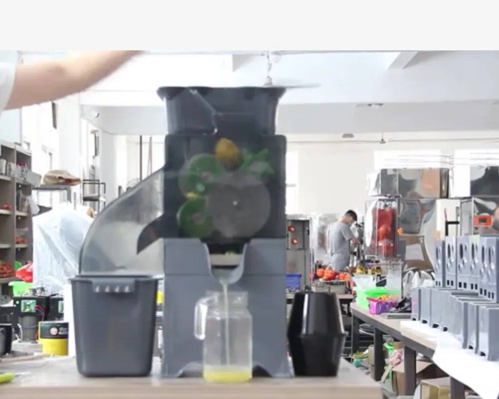 Luoxin Electric Commercial Automatic Fruit Juicer Citrus Lemon Orange Juice Squeezer Kumquat Power Machine Tool Spare Parts