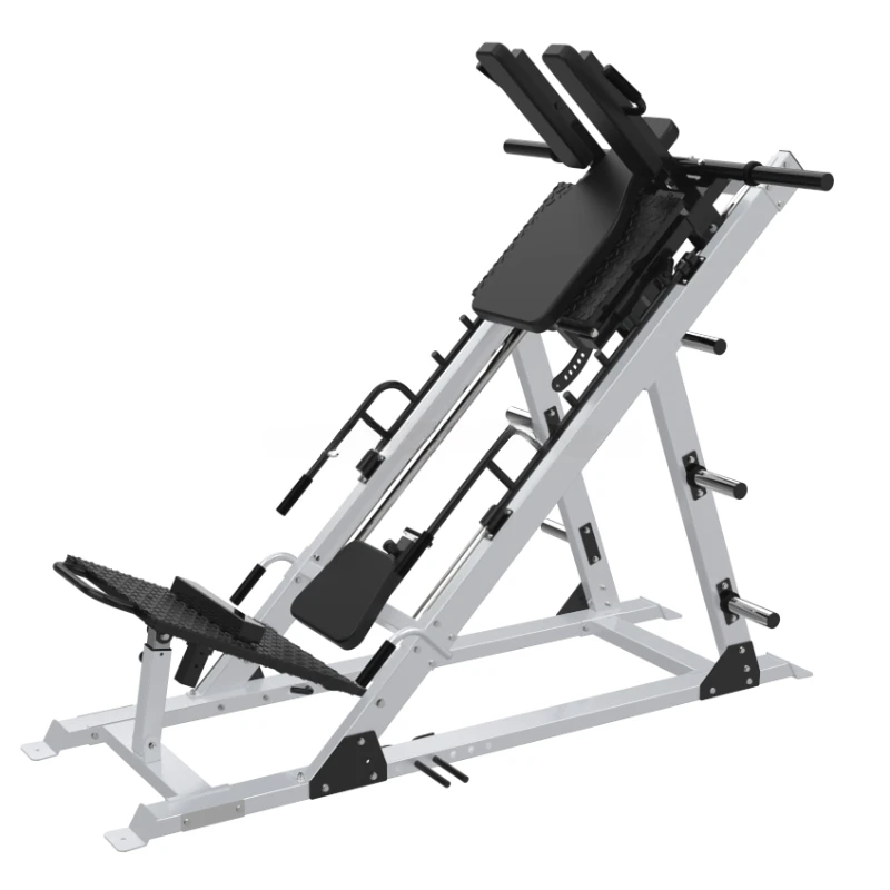 Leg Press Hack Squat