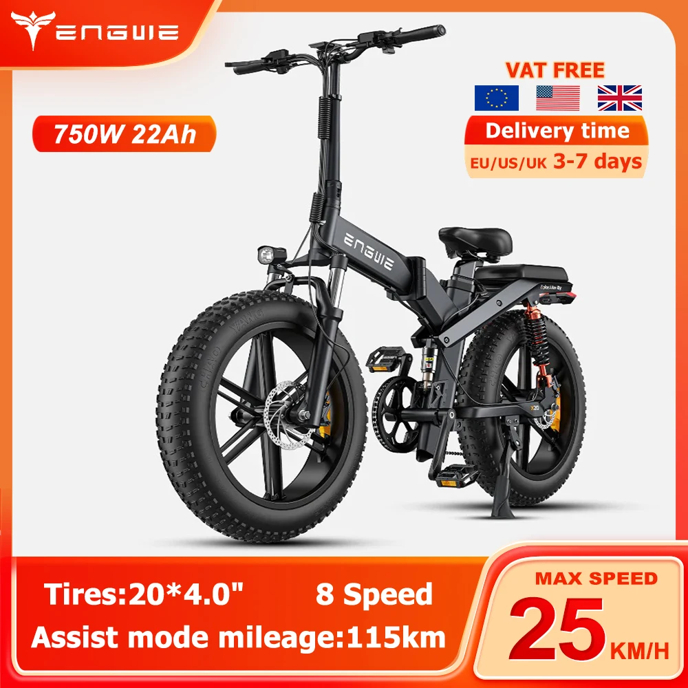 Engwe X20 750W Fat Electric Bike 48V 22Ah Pieghevole Mountain Ebike 20 Pollici Fat Tire Urban Pendolarismo Doppie Batterie Bicicletta Elettrica