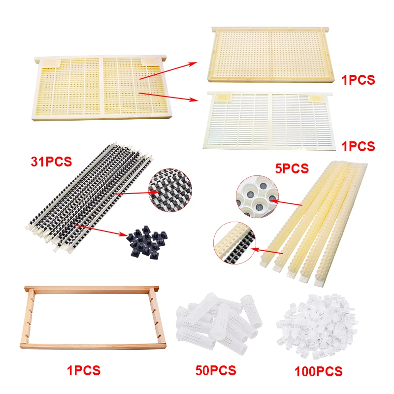 1Set Queen Brewing System Bee Larva Cell Cups Frame Cage Per Cqr-3 Royal Jelly Production Equipment Apicoltura Senza Strumenti Di Innesto