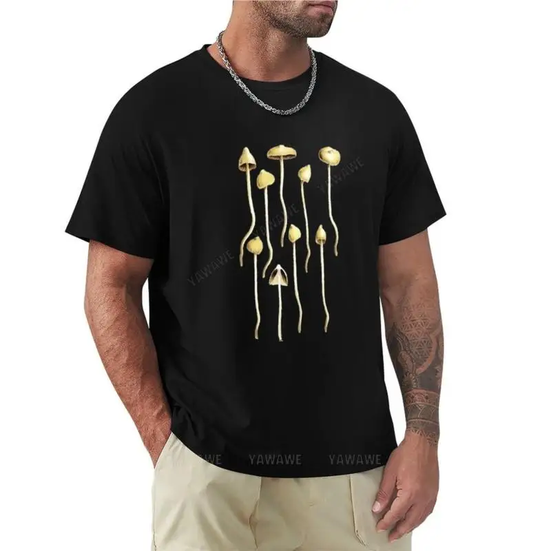 Funghi Magici, Berretti Liberty, Psilocybe Semilanceata, Micologia, Foraggiamento, Toadsgabello, Funghi, Scope, T-Shirt Botanica Illumstr
