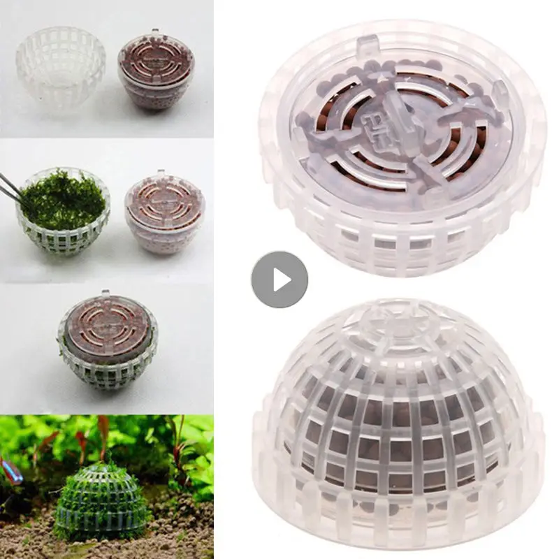 Moss Ball Filtration Decor Marimo Live Aquarium Plant Alghe Pet Fish Gamberetti Tank Ornament Happy Environmental Green Seaweed Ball