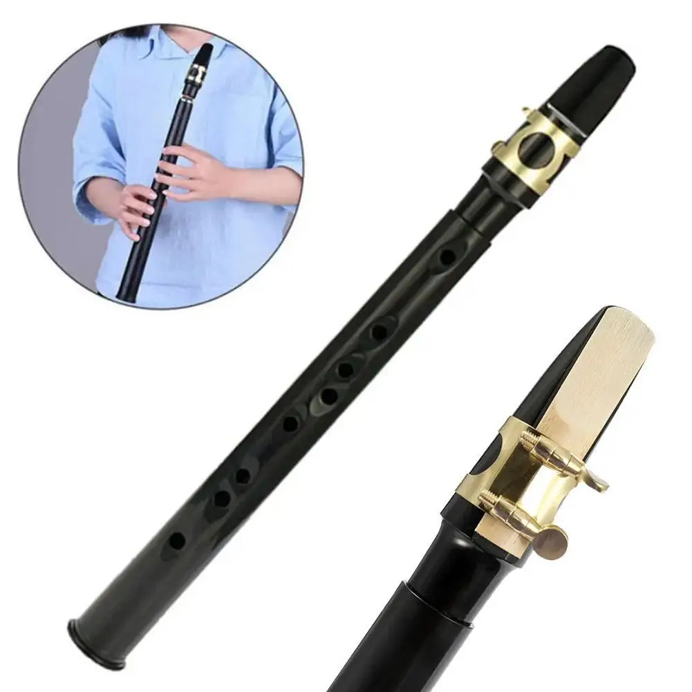 Mini Pocket Saxophone C Key Sax Woodwind Instrument Con Borsa Per Il Trasporto Portatile Piccolo Sassofono Sax Woodwind Strumento Musicale