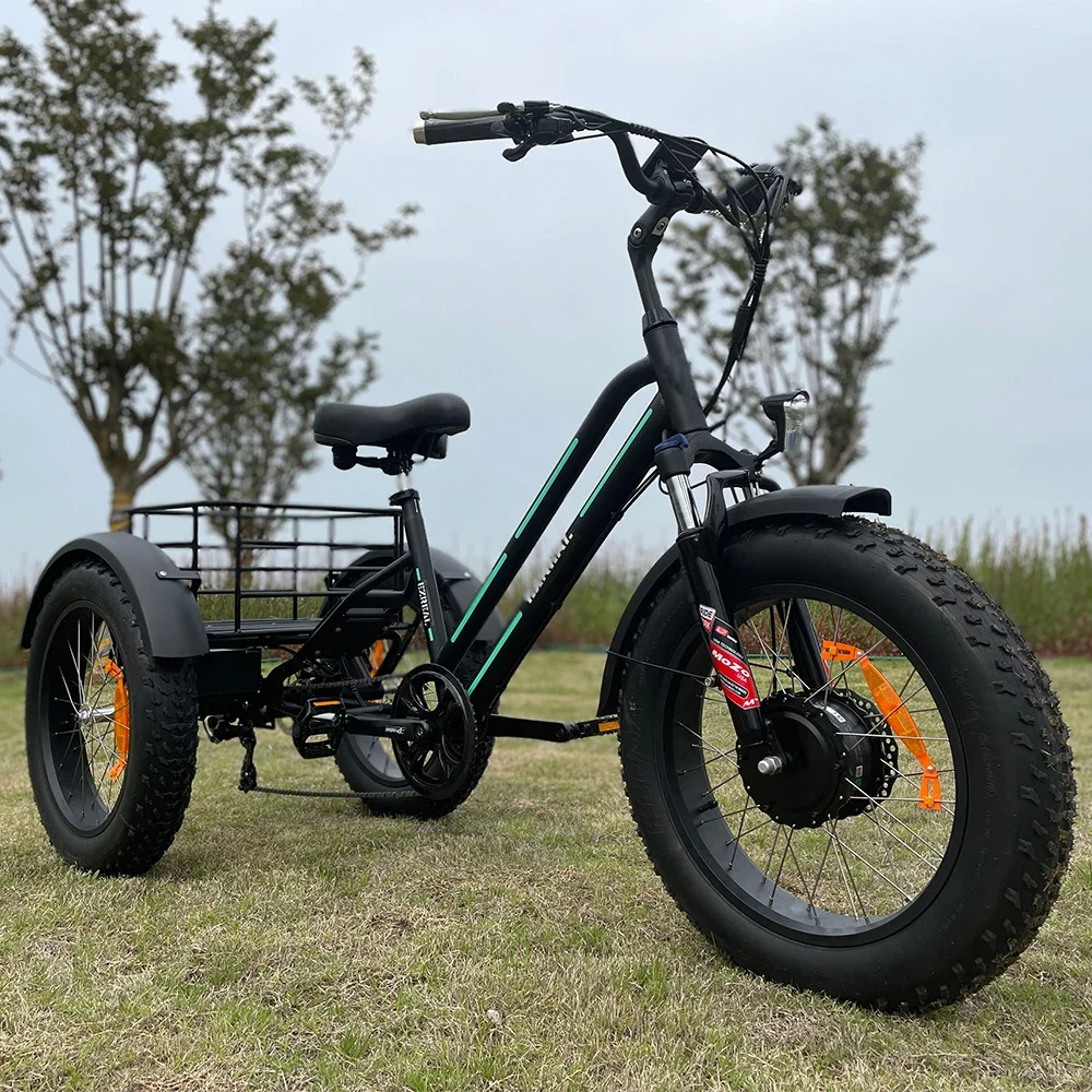 Ezreal Usa Warehouse 500W 750 Watt Bici Elettrica 3 Tre Ruote Fat Tire Cargo Bike Triciclo Elettrico Personalizzato
