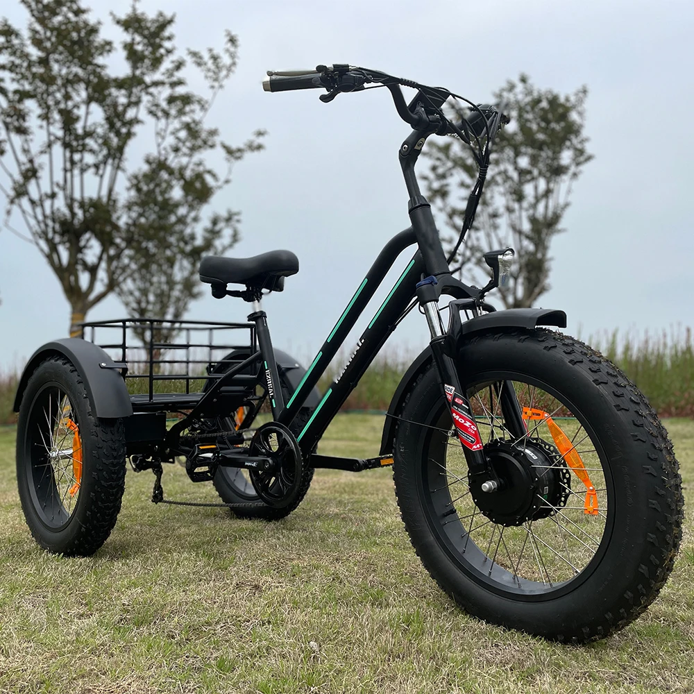 Ezreal Usa Warehouse 500W 750 Watt Bici Elettrica 3 Tre Ruote Fat Tire Cargo Bike Triciclo Elettrico