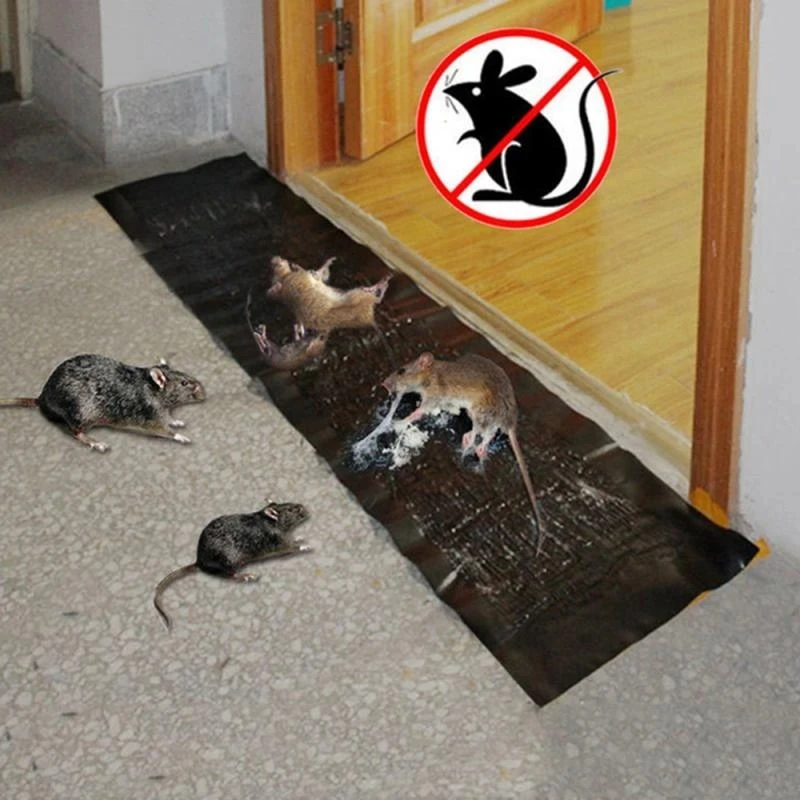 1.2M Mouse Board Sticky Rat Glue Mouse Trap Colla Board Topi Catcher Trap Non Tossico Pest Control Reject Mouse Killer Trappole Per Topi