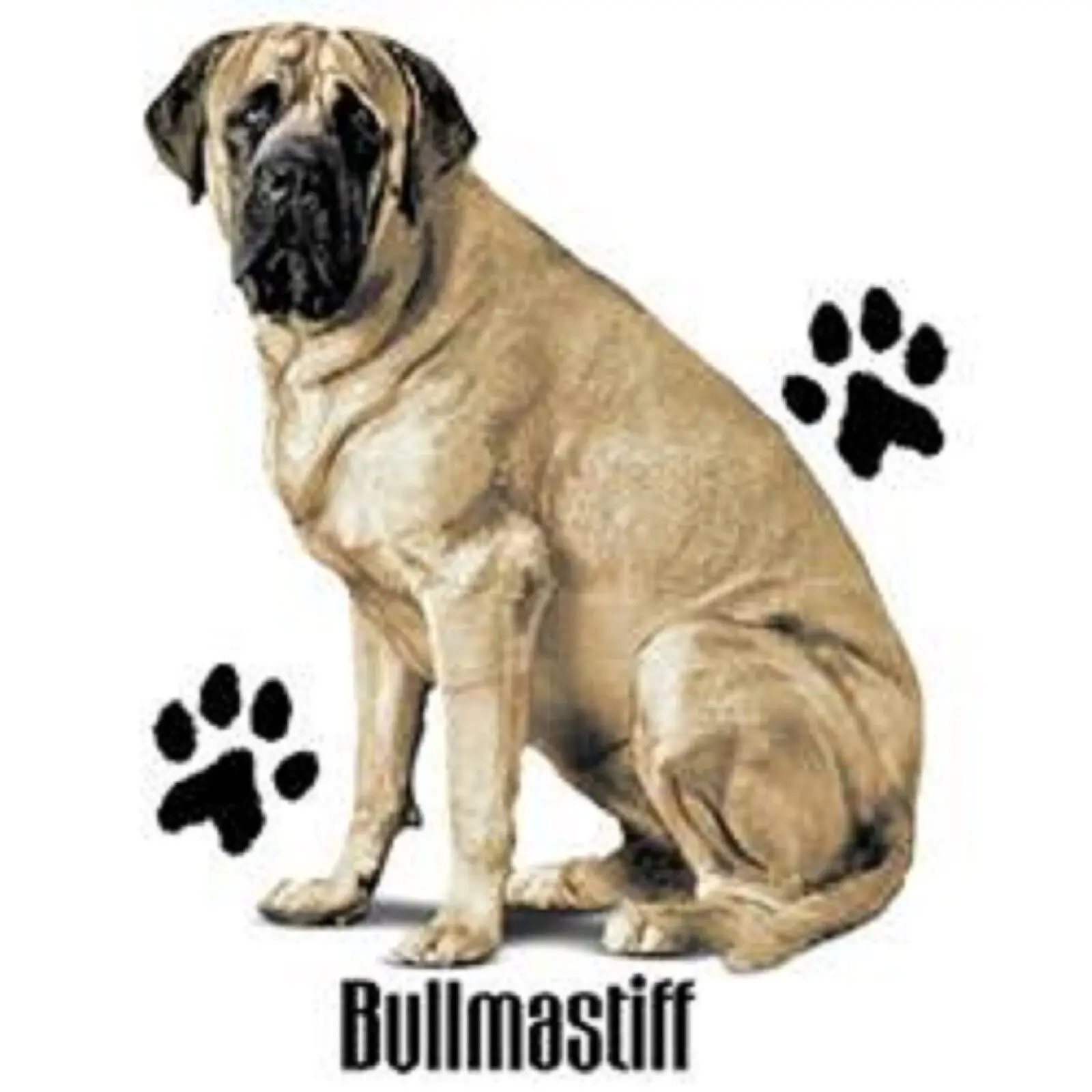 Bullmasttiff Robinson T Shirt 7 X Large To 14 X Large Pick Size Maniche Lunghe O Corte