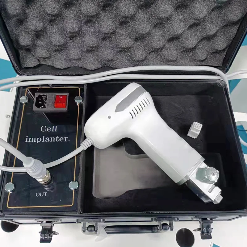 Nuovo Dermapen Meso Iniettore Mesoterapia Micro Ago Elettronico Meso Terapia Mesogun Microneedling Iniezione Mts Macchina Di Bellezza