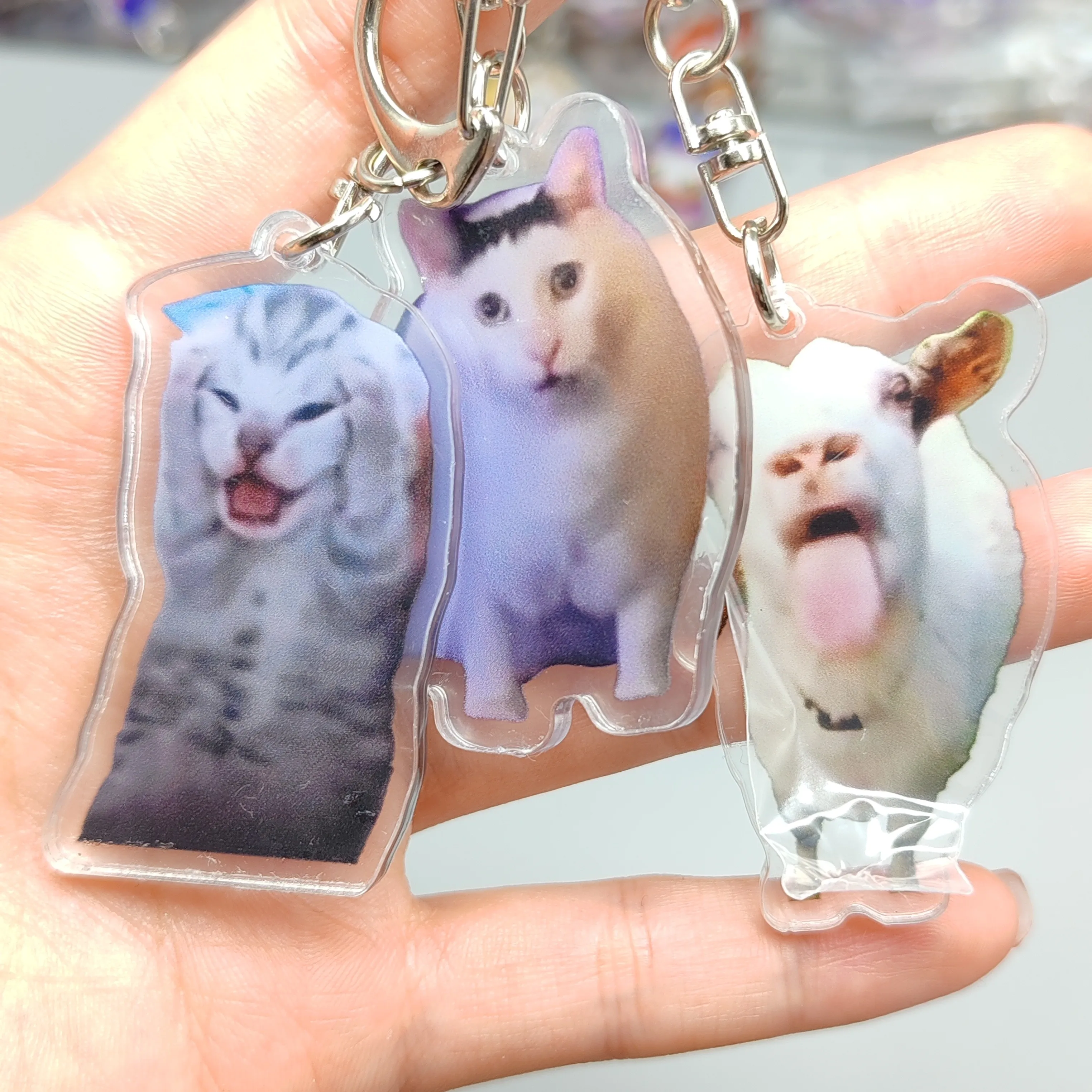 Rambling Goat Eh Cat Meme Portachiavi Confused Cat Memes Cat Che Urlano Con Le Zampe Sulla Testa Regalo Carino Per Il Portachiavi Della Donna Amica