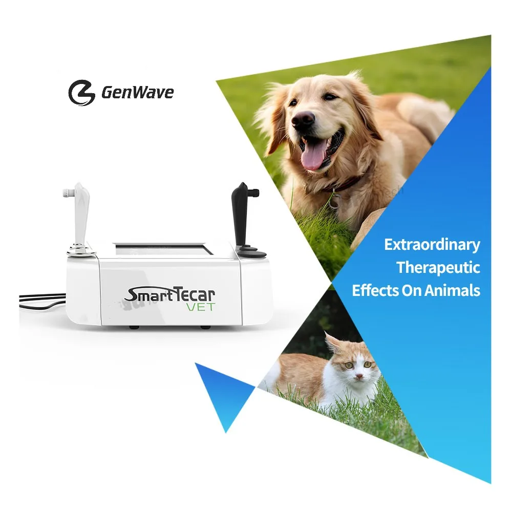 448Khz Smart Tecar Vet Tecar Therapy Machine Per Alleviare Il Dolore Degli Animali