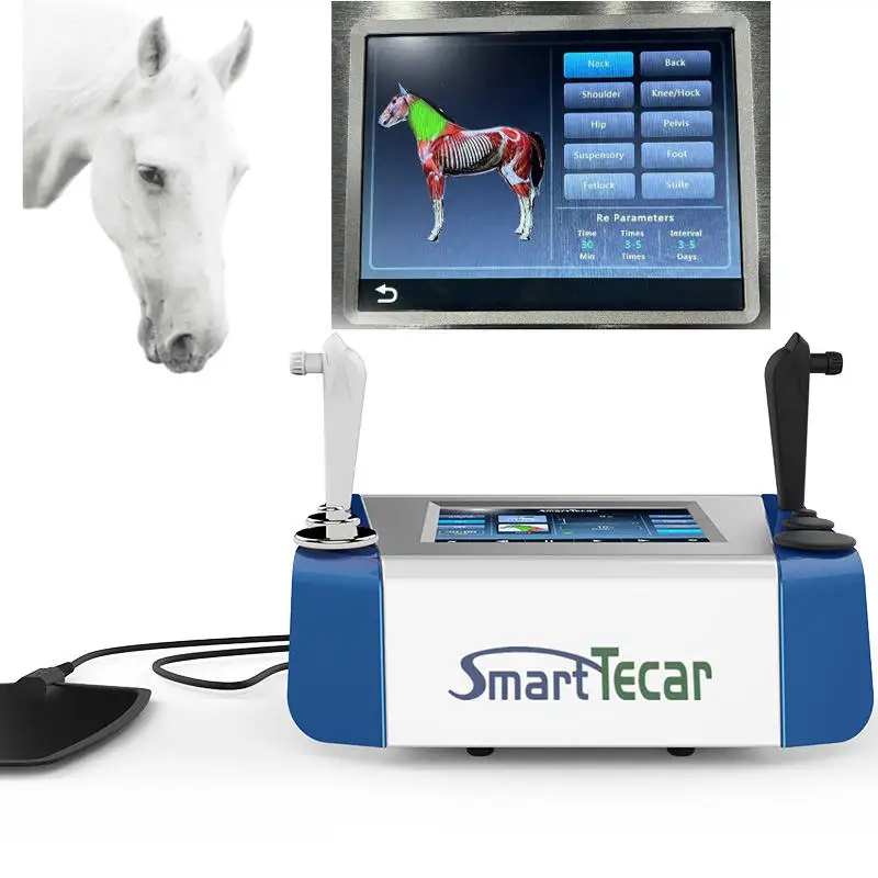 Smrat Tecar Therapy For Horse Pet Dogs 448Khz Cet Ret Radio Fruquency Diatermia Sollievo Dal Dolore Vet Equine Phyiotherapy Machine