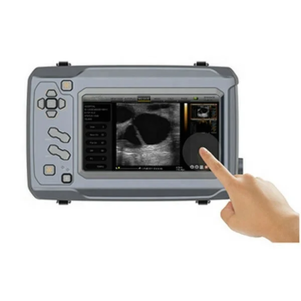 Usg Bmv S6 Ultrasuoni Veterinari Bmv Ultrasuoni Ecografo Bmv S6