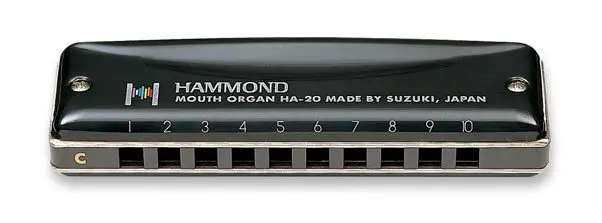 Suzuki Armonica Ha-20 Promaster Avon 10 Fori Blues Armonica Diatonica-Chiave Di C