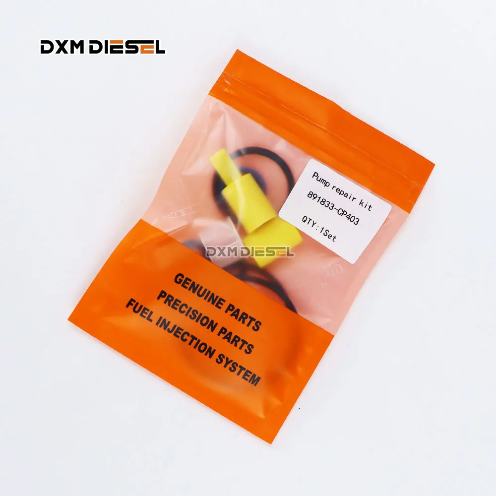 10 Pezzi Cp4 Riparazione Pompa Kis