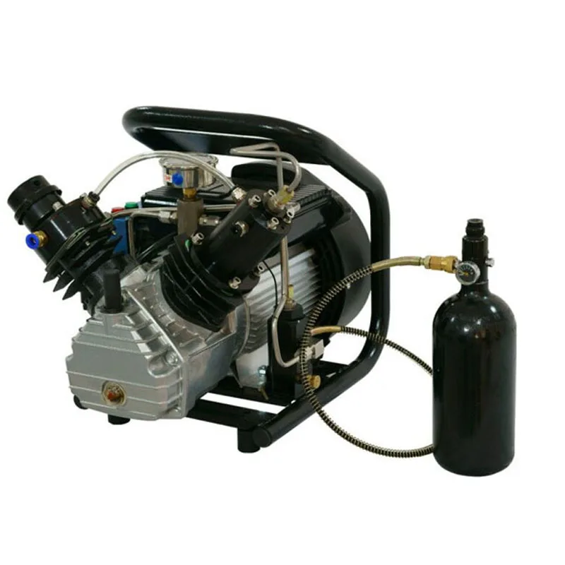 Dmc 220V 4500 Psi 300 Bar Auto Stop Pcp Air Compressor Paintball Wholesale
