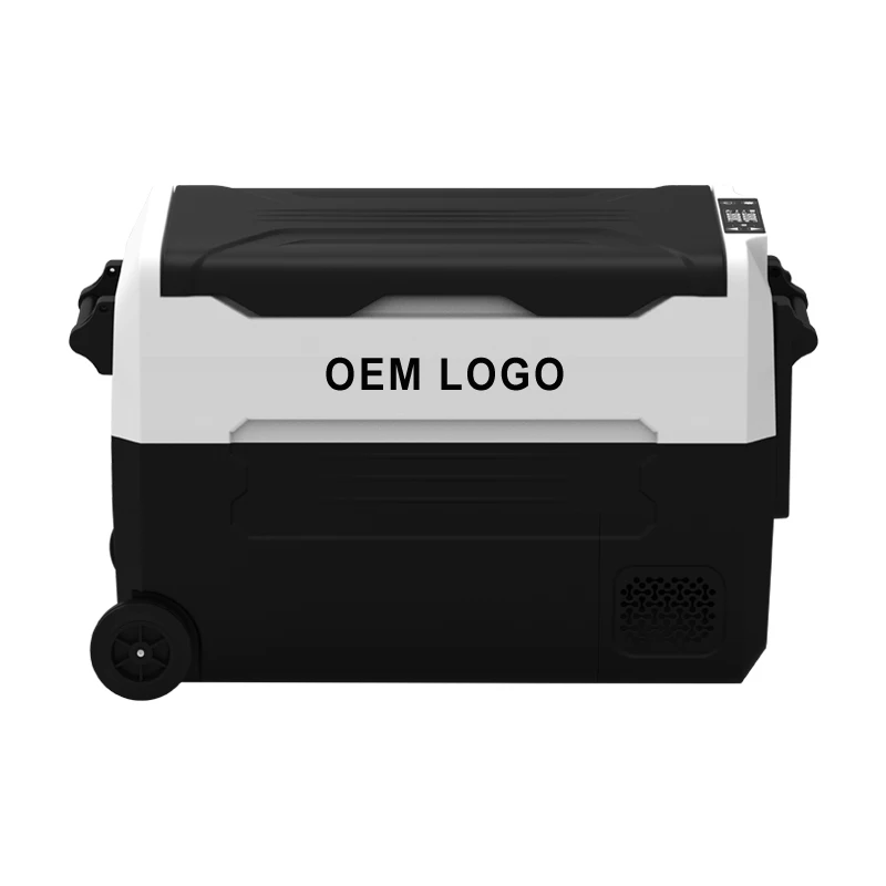 Mini Frigorifero Portatile Per Auto Eugreen Frigo Frigo Frigo 12V