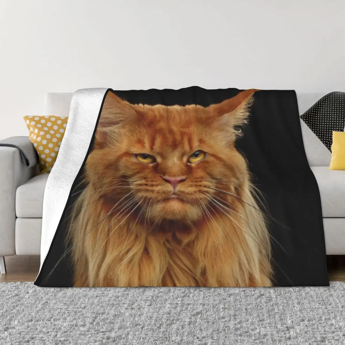 1 Angry Ginger Maine Coon Cat Gazing On Black Background Sery Taran Ultra-Soft Micro Fleece Coperta Prodotto Quantità: 1