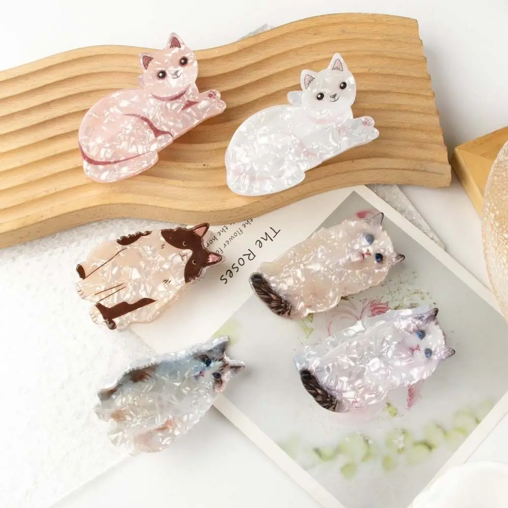 Ragdoll Cat Hair Claw Elegante Cartoon Persiano Cat Animal Shark Clip Maine Coon Copricapo Acrilico Animal Hair Clip Daily