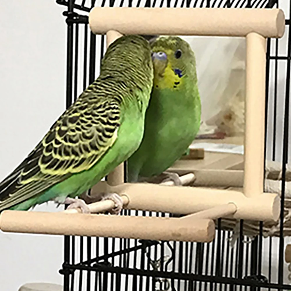 Specchio Per Uccelli Con Trespolo In Legno Gioco Interattivo Da Appendere Per Pappagallo Budgie Parrocchetto Cocker Conure Finch Budgie Bird Supplies