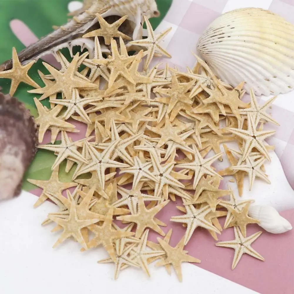 20/50/100 Pcs Natural Ocean Beach Seashells Mixed White Starfish Seashells Dimensioni Assortite Wedding Sea Star Artigianato Fai Da Te Decorazione Del