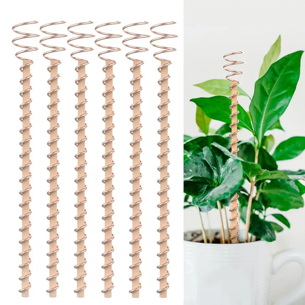 6Pcs Electroculture Plant Stake Wood Rod Plants Verdure Growing Electro Culture Antenna A Spirale In Filo Di Rame Forniture Per Il Giardinaggio