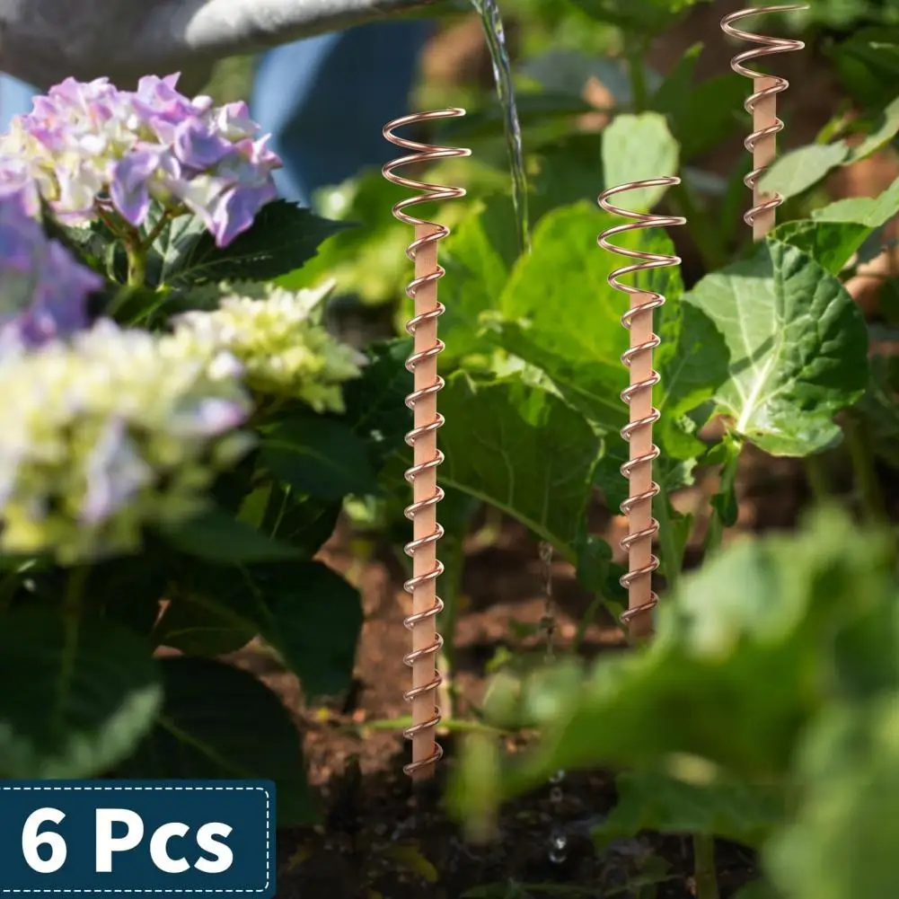 Electro Culture Plant Coil Roll Electroculture Indoor Plant Palo Electroculture Plant Picchetto Set 6 Pezzi 12 Pollici Legno Per Giardino