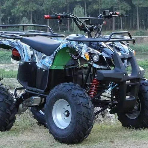 Prezzo Di Fabbrica Nuovo Avviamento Elettrico Atv Farm Vehicle Uso Adulto 48V 20A 1200W Atv Beach Buggy Adulto Elettrico 4X4 Atv