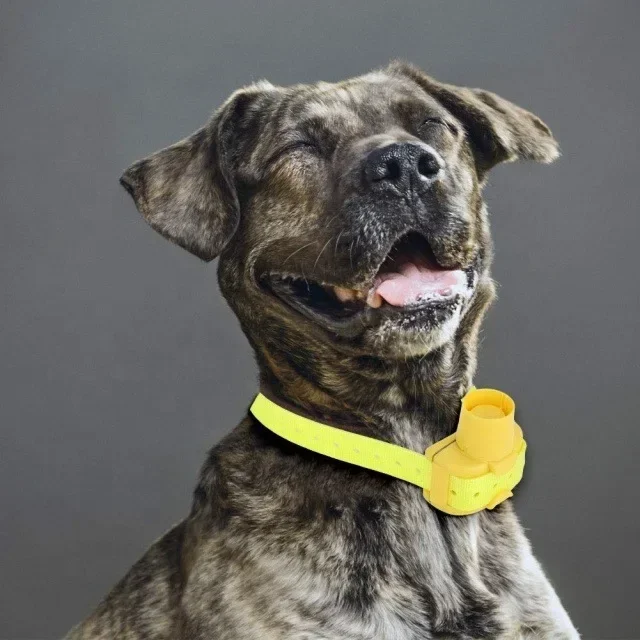 Collari Beeper Per Cani Da Caccia Collare Da Addestramento Per Cani Impermeabile 8 Modalità Beeper Sound Per Cani Integrato Collare Per Animali Da Add