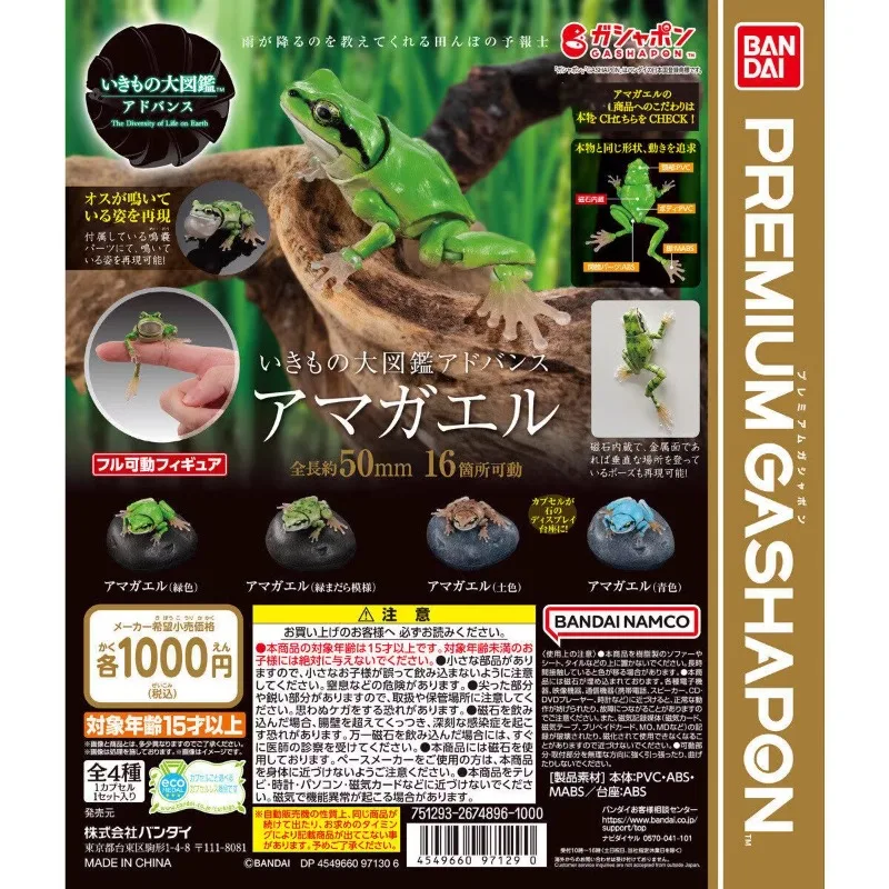 Bandai Original Kawaii Gashapon Figure Cute Biology Map Joint Mobile Tree Frog Hyla Stone Capsule Toys Anime Figurine Gift