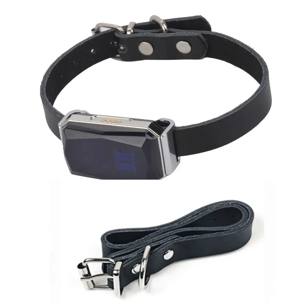 G12 Mini Pet Gps Tracker 2G Gps Tracker Impermeabile Ip67 Pet Collar Locator Intelligent Real Time Tracking Alarm Recinzione Elettronica