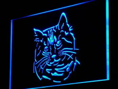 I987 Pixie Bob Cat Kitty Shop Pet Decor Light Signs On/Off Switch 20 + Colori 5 Taglie