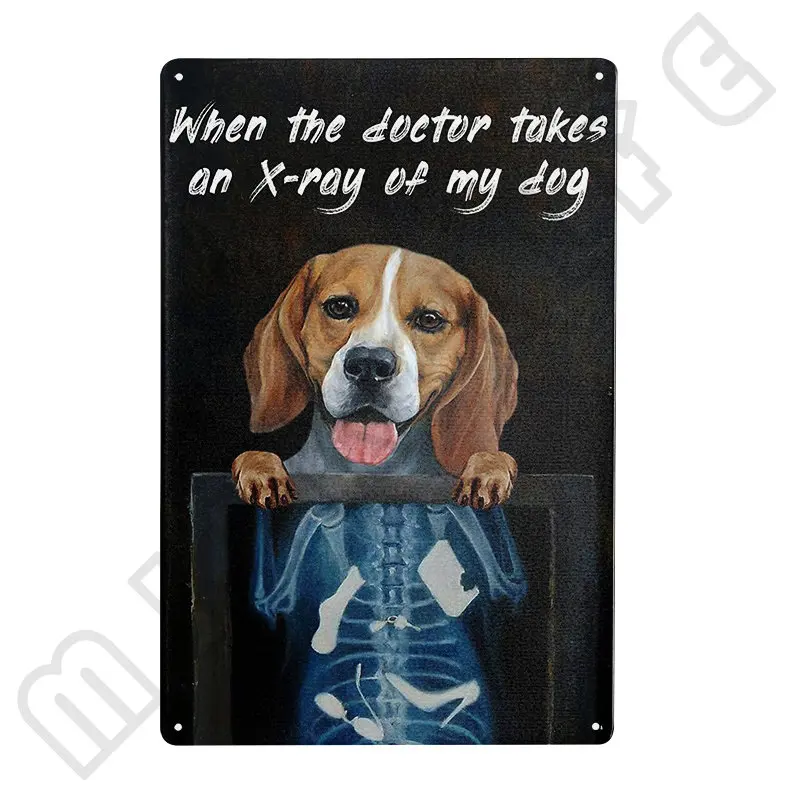 Beagle Dog Funny Metal Tin Signs Home Bedroom Bagno Cafe Kitchen Home Wall Decor Retro Print Poster Migliore Targa Regalo