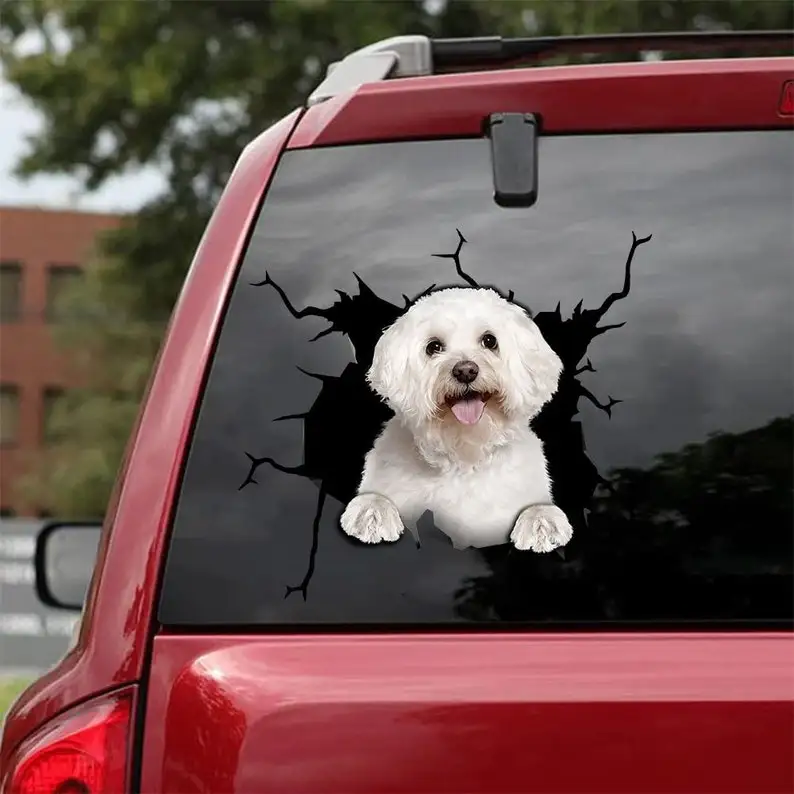 Golden Poodle Decal - Fits Cars, Windows,Laptops And Any Smooth Surface,Golden Poodle Stickers,Custom Golden Poodle Stickers,Ani