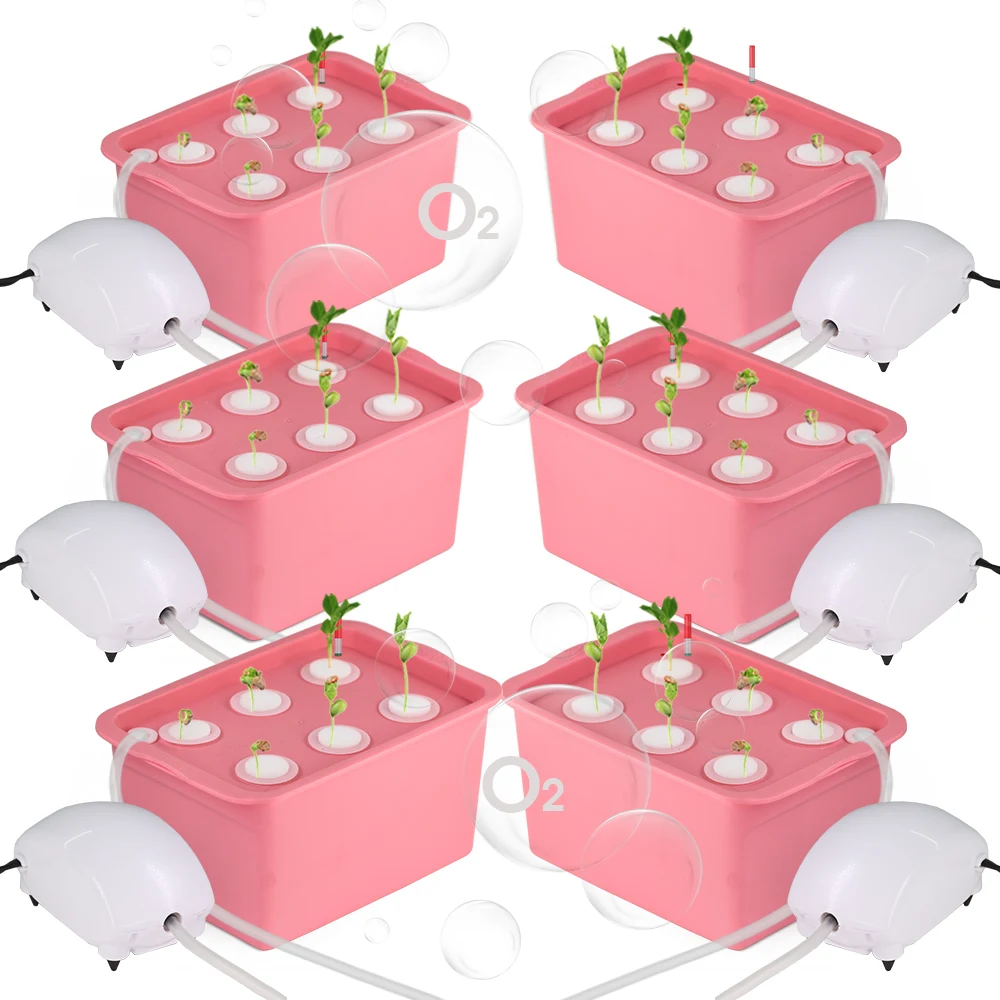 6 Poli Indoor Hydroponic Grow Kit Pink Box Soilless Strumento Di Coltivazione Bubble Stone Plant Bucket Boa Pompa Ad Aria Spugna Herb Garden