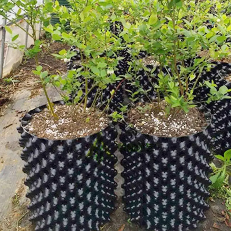 Potatura Ad Aria Plant Root Trainer Cell Nursery Pots Fast Root Grow Container Garden Tree Bonsai Traforate Tool Radice Idroponica