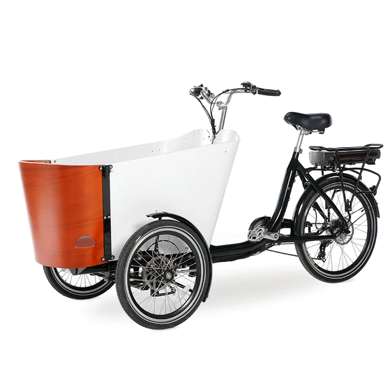 Triciclo A Pedali Per Adulti A Tre Ruote Cargo Bike Family 6 Marce Drift Trike Per La Spesa E Il Trasporto Dei Bambini