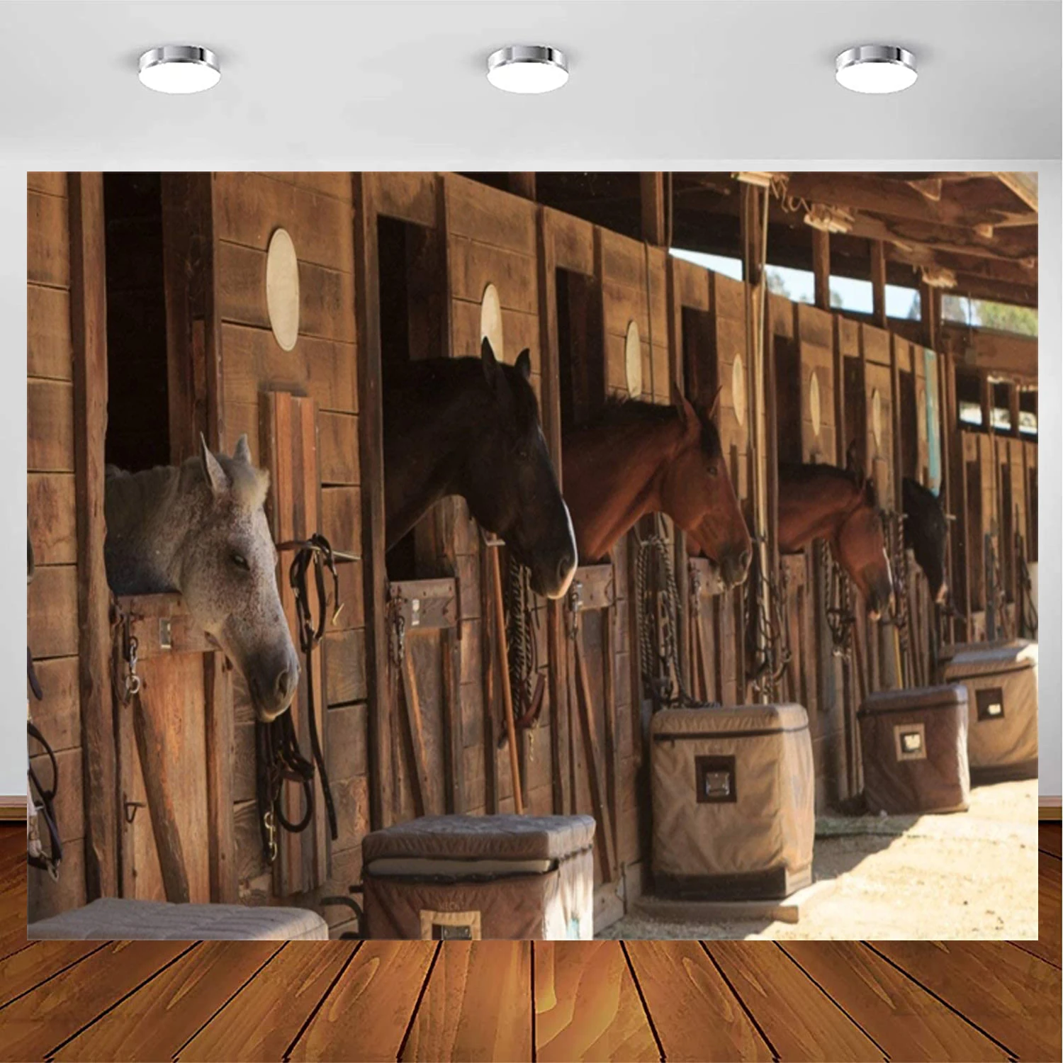 Fotografia Sfondo Stud-Farm Horses Scene Farm Country Village Rustico Tema Rurale Sfondo Cowboy Portrait Banner Poster