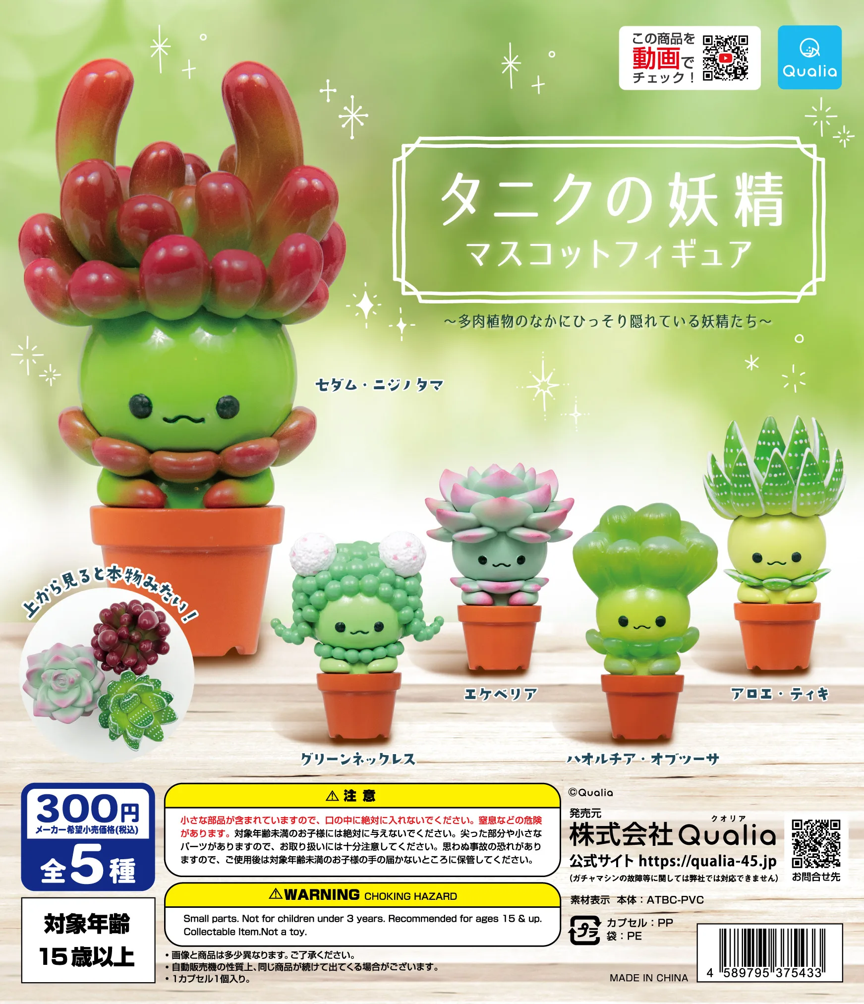 Qualia Capsule Toys Taniku Fairy Mascot Figure Cute Kawaii Succulente Jelly Bean String Of Pearl Echeveria Plant Gashapon