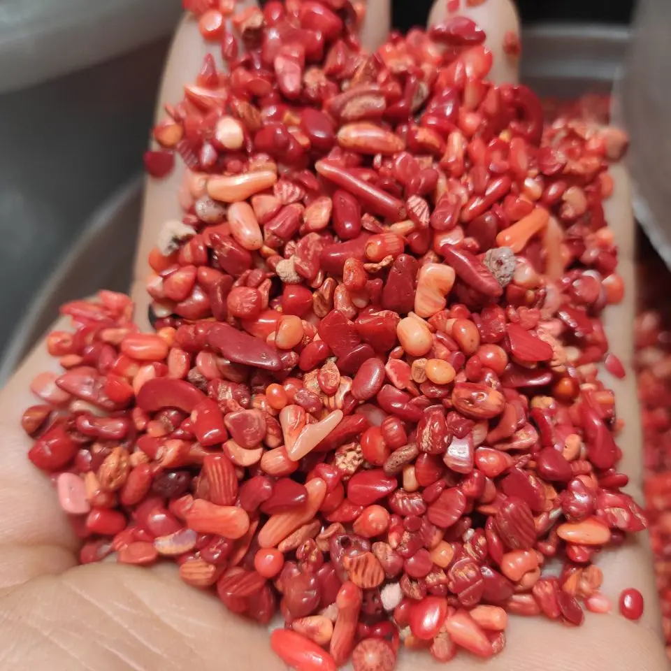 100G Macerie Di Corallo Rosso Per Cabbing/Taglio/Lapidario/Burattatura/Lucidatura