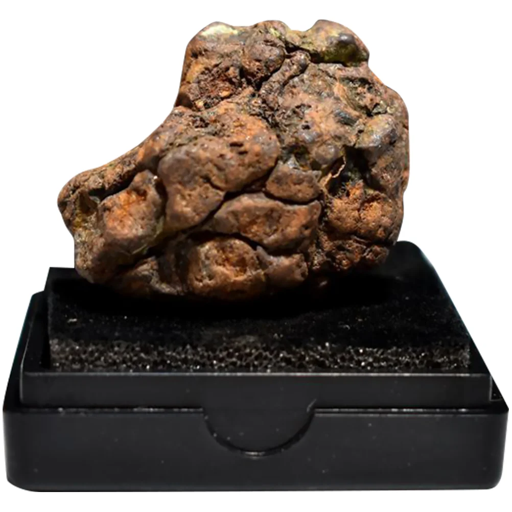 Campione Di Meteorite Spazio Didattico Vera Pietra Educativa Tektite Aerolite Scientific Fossil Litosiderite Sculpture Classroom