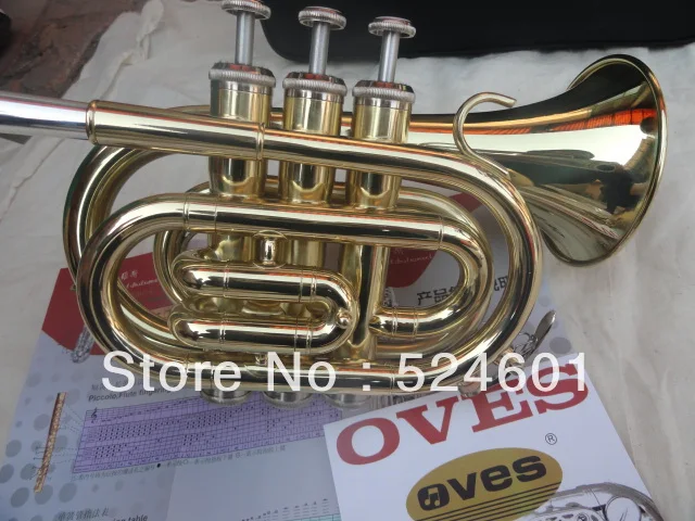 Stufe Marca Strumento Bb Tromba Tascabile Aspetto Placcato In Oro Tr-400 Trompeta Professionale Trompeta Con Custodia Bocchino